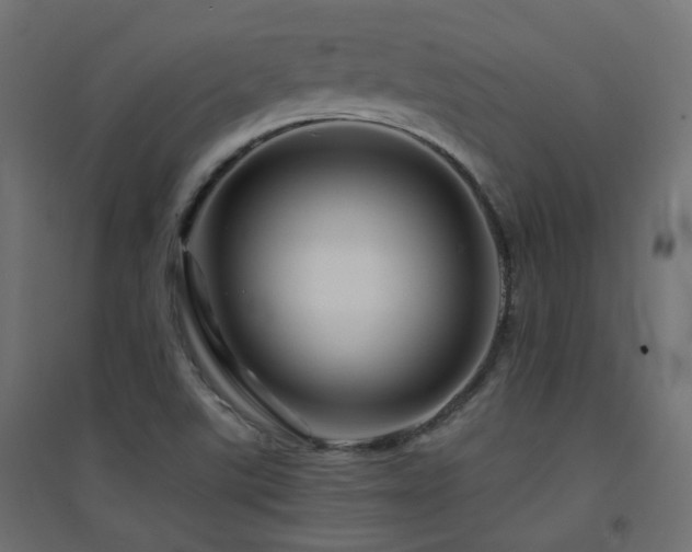 X0000094901507200711291220