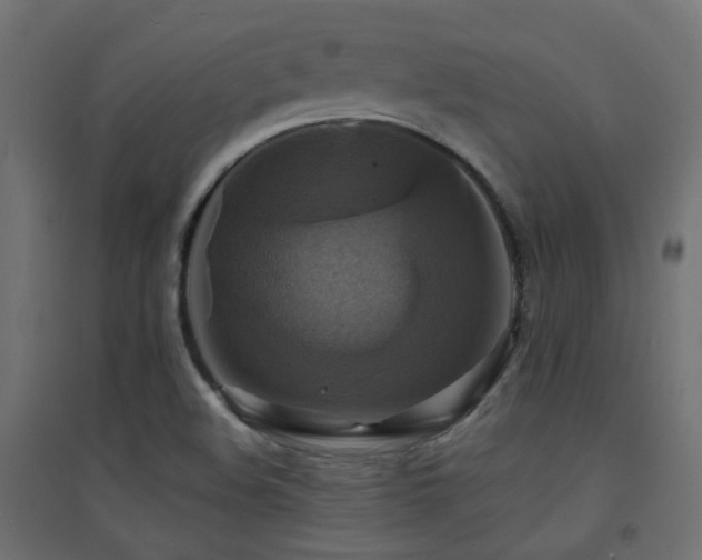X0000094901508200711291220
