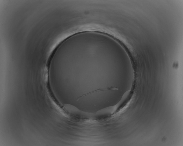 X0000094901509200711291220