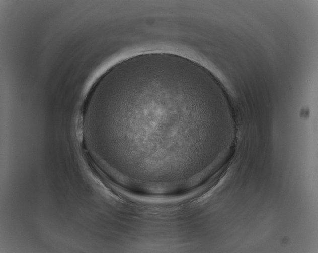 X0000094901510200711291220