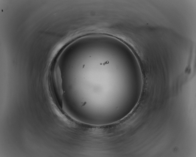 X0000094901511200711291220