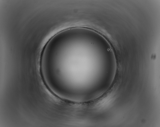 X0000094901512200711291220