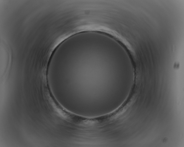 X0000094901513200711291220