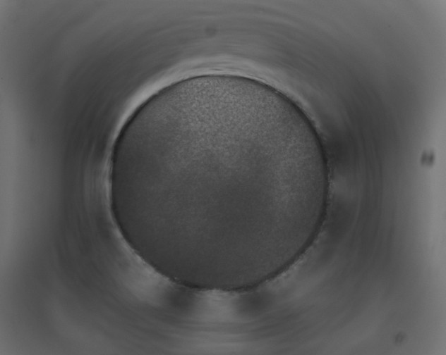 X0000094901514200711291220