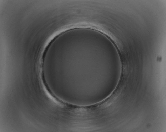 X0000094901515200711291220