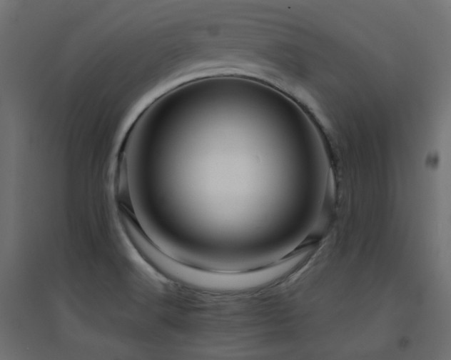 X0000094901516200711291220