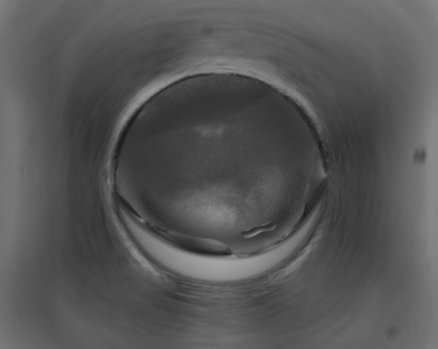 X0000094901517200711291220