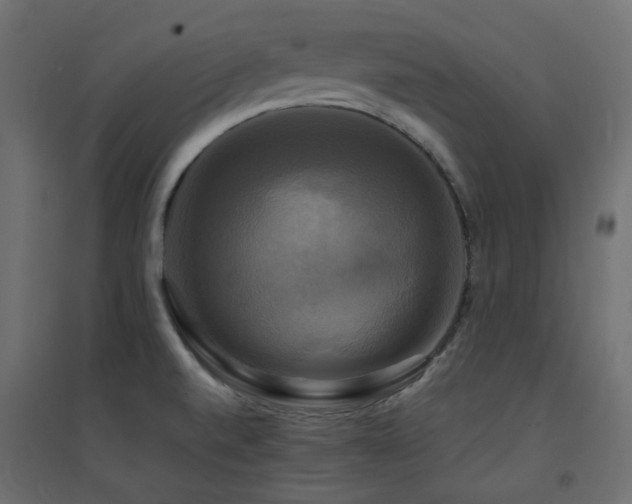 X0000094901520200711291220