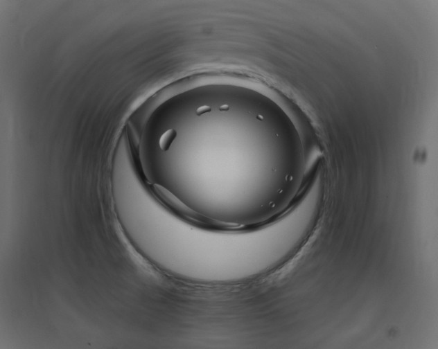 X0000094901521200711291220