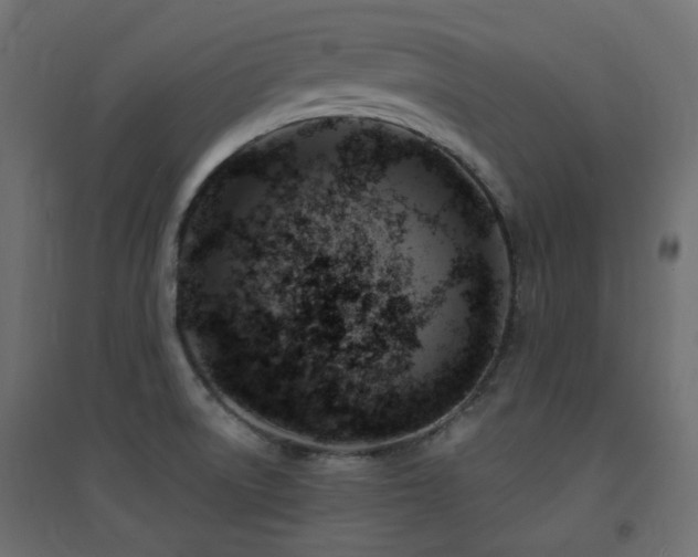 X0000094901522200711291220
