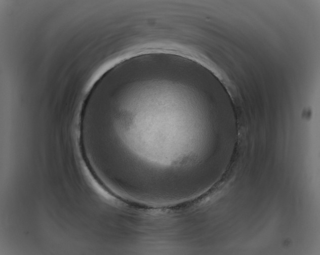 X0000094901523200711291220