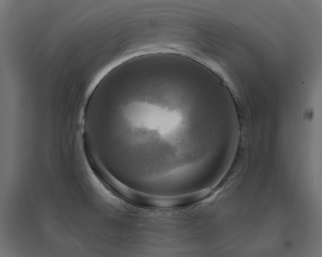 X0000094901524200711291220