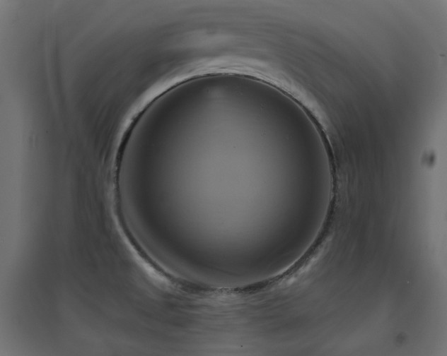X0000094901525200711291220