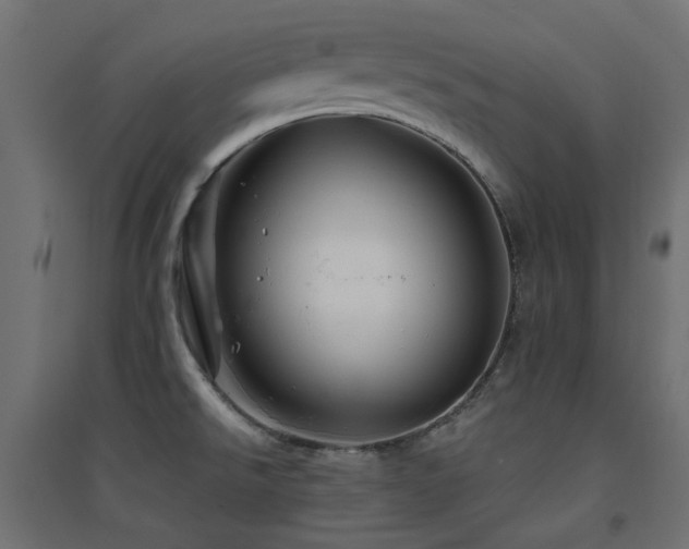 X0000094901526200711291220