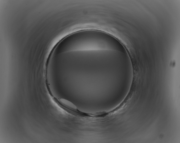 X0000094901527200711291220