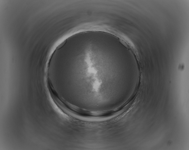X0000094901528200711291220
