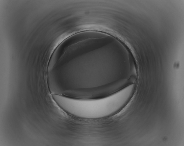 X0000094901529200711291220