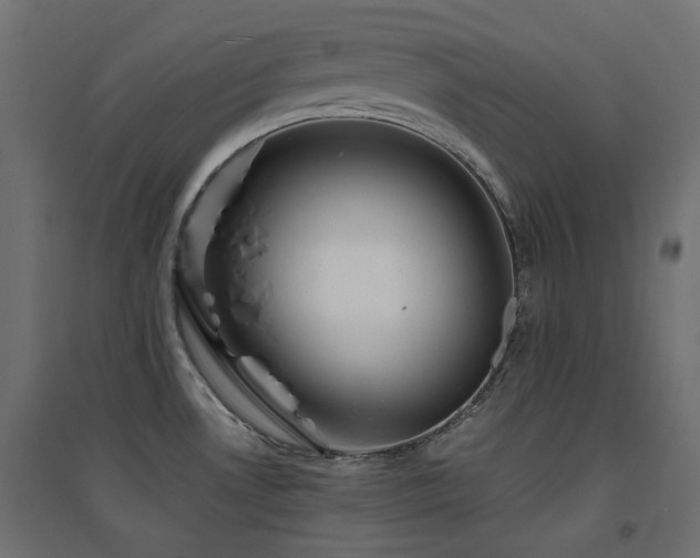 X0000094901530200711291220