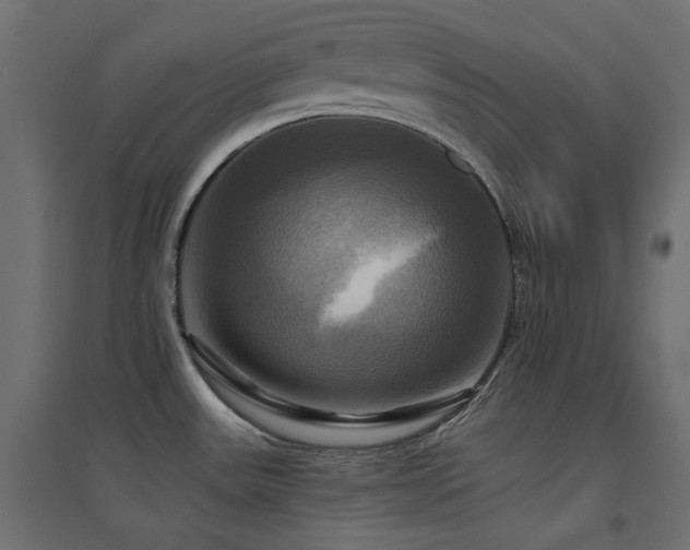 X0000094901531200711291220