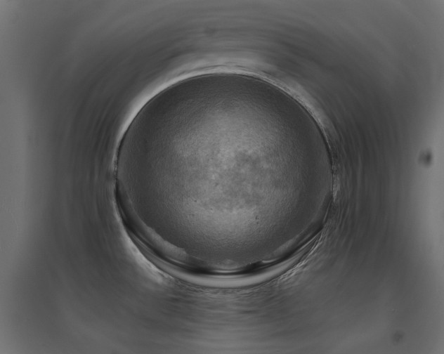 X0000094901532200711291220