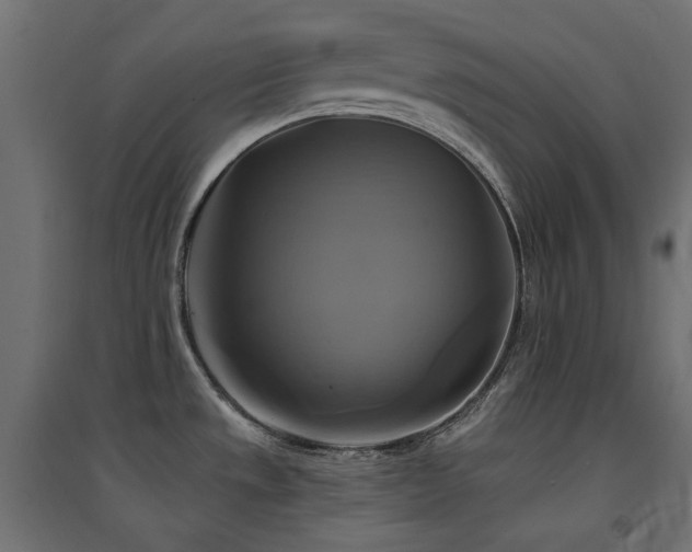 X0000094901533200711291220