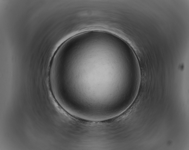 X0000094901534200711291220