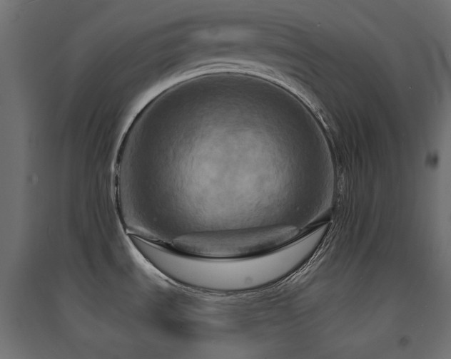 X0000094901535200711291220