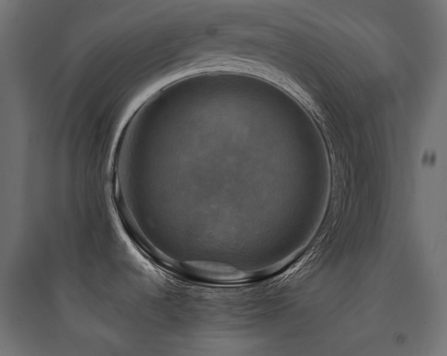 X0000094901536200711291220