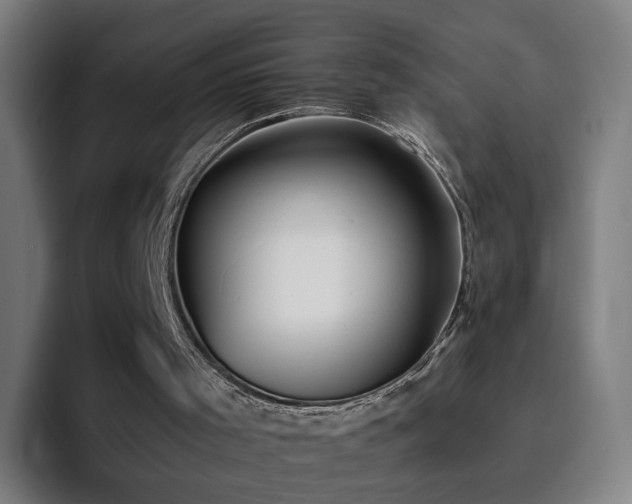 X0000094900001200712061038