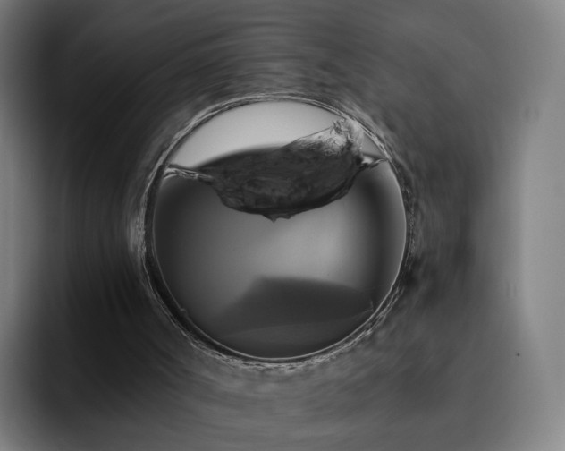 X0000094900002200712061038