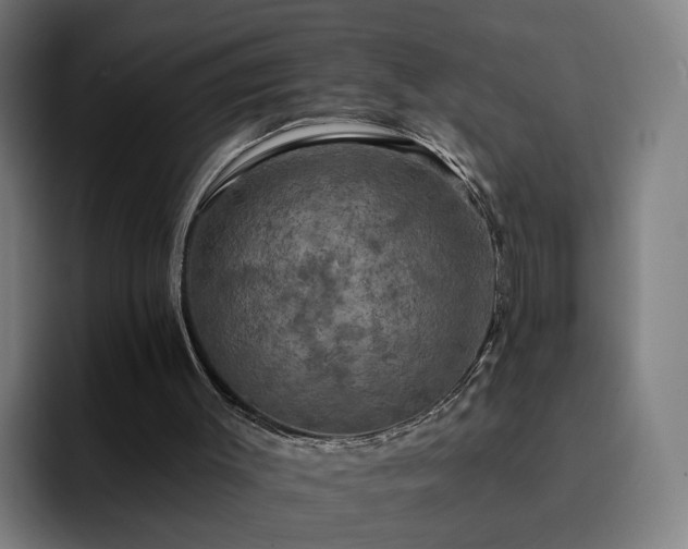 X0000094900003200712061038