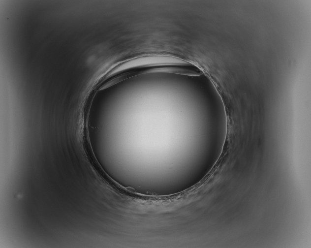 X0000094900005200712061038