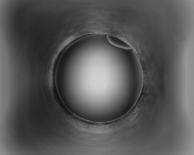 X0000094900008200712061038