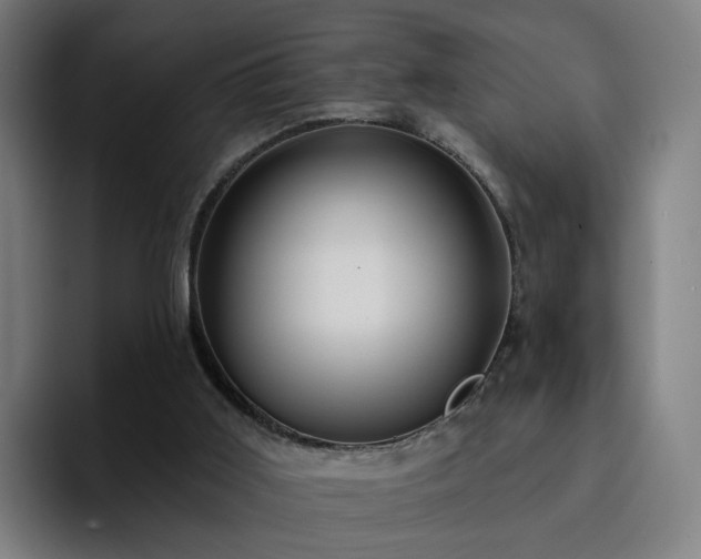X0000094900011200712061038