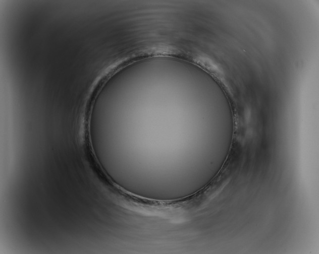 X0000094900012200712061038