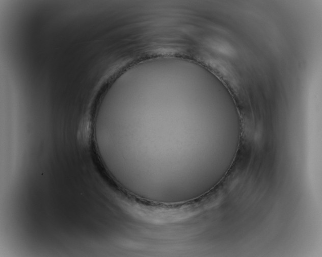 X0000094900016200712061038