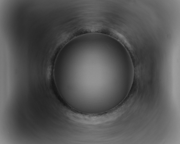 X0000094900018200712061038