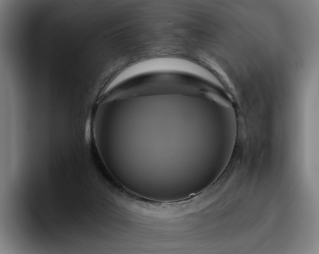 X0000094900019200712061038