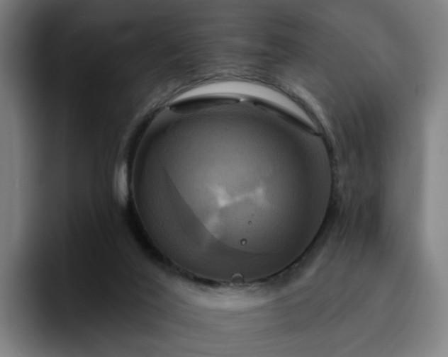 X0000094900020200712061038