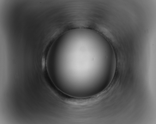 X0000094900021200712061038