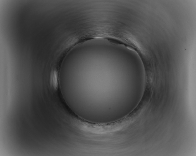 X0000094900022200712061038