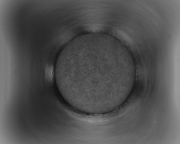 X0000094900024200712061038