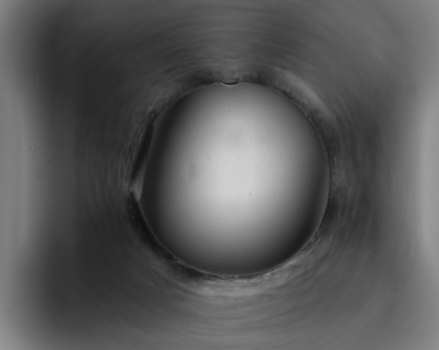 X0000094900025200712061038