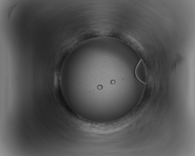 X0000094900026200712061038