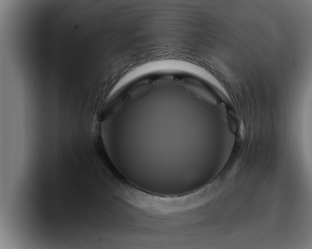 X0000094900039200712061037