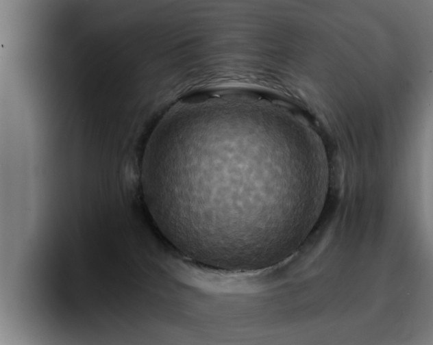X0000094900040200712061037