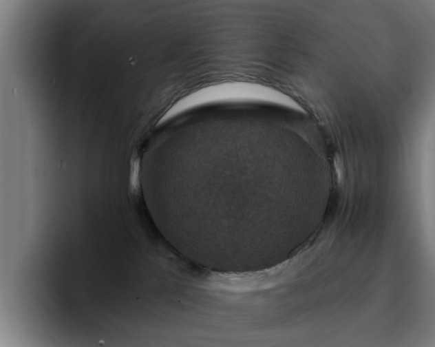 X0000094900041200712061037