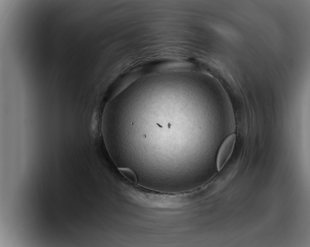 X0000094900044200712061037