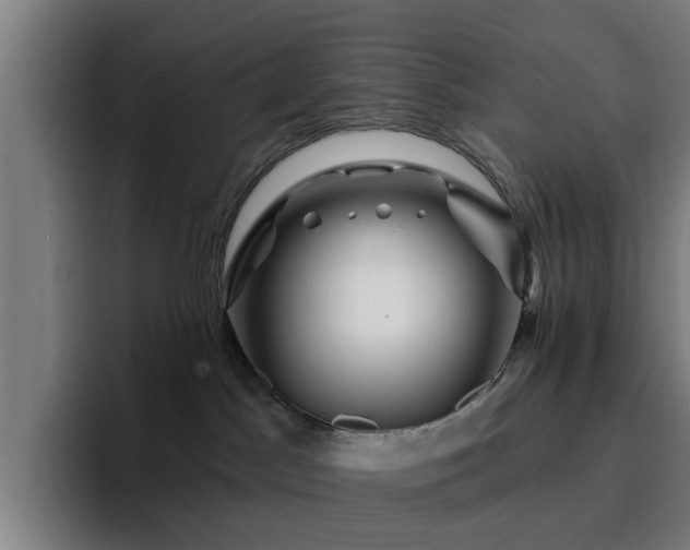 X0000094900045200712061037