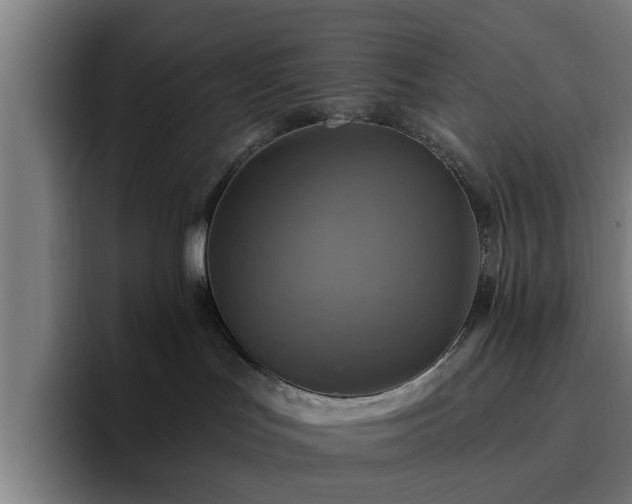 X0000094900047200712061037